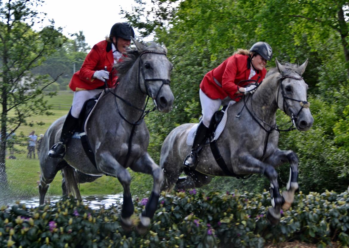 Jagt på Stald Friheden billede 63