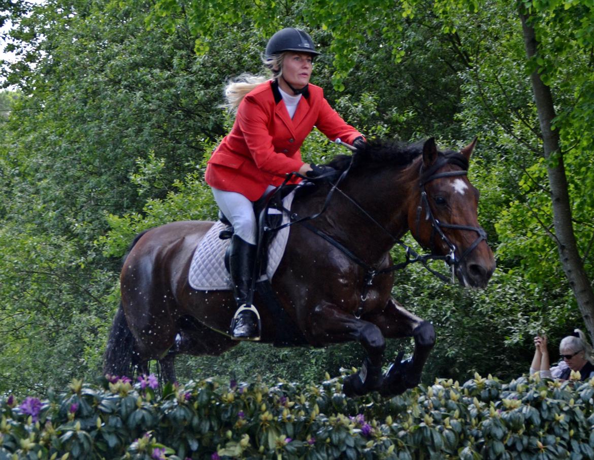 Jagt på Stald Friheden billede 64