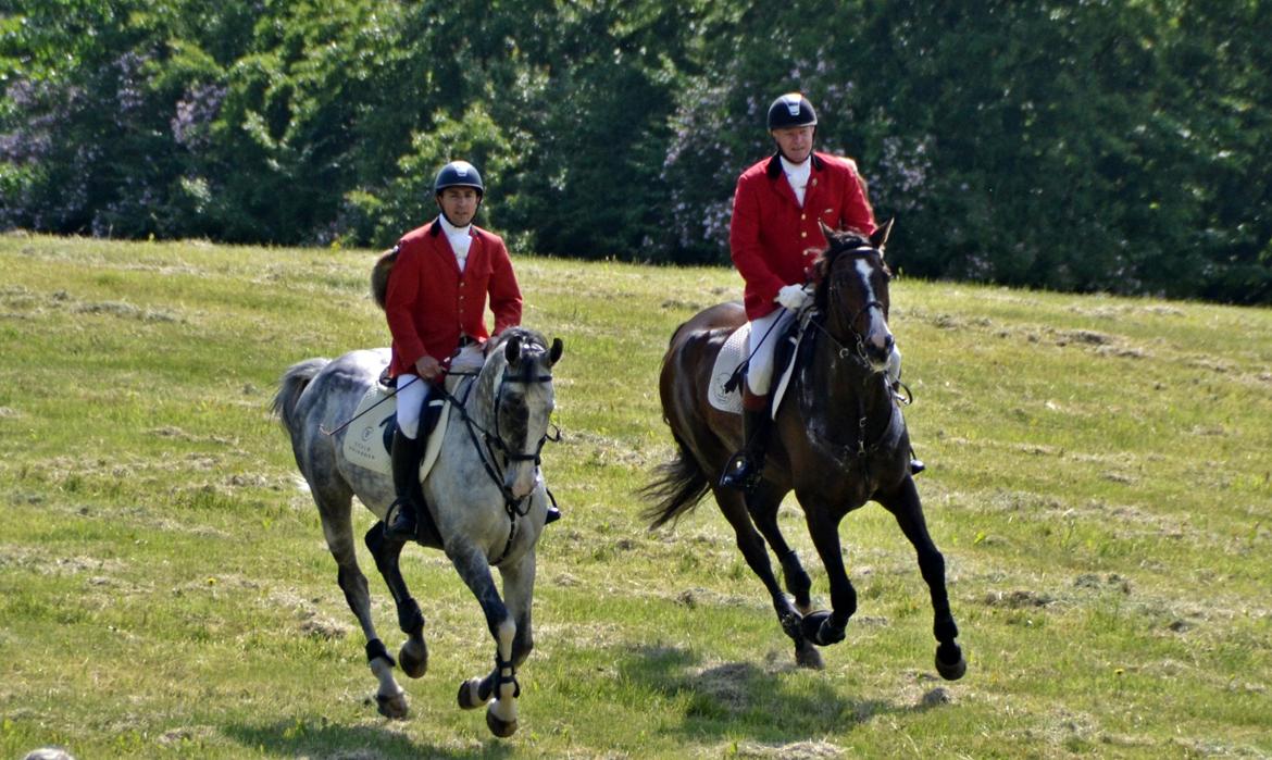 Jagt på Stald Friheden billede 65