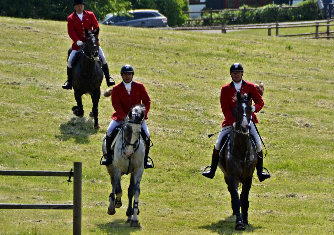 Jagt på Stald Friheden billede 66