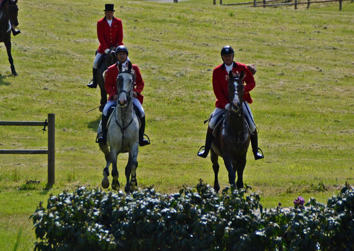 Jagt på Stald Friheden billede 67