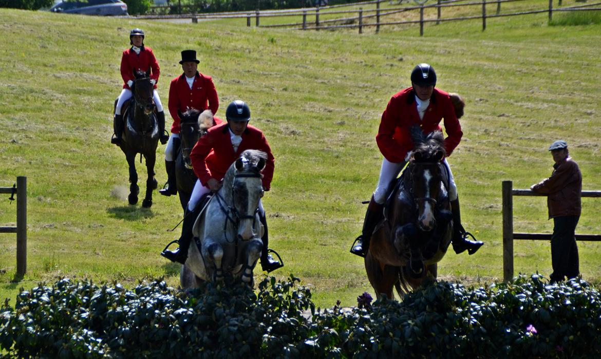 Jagt på Stald Friheden billede 68