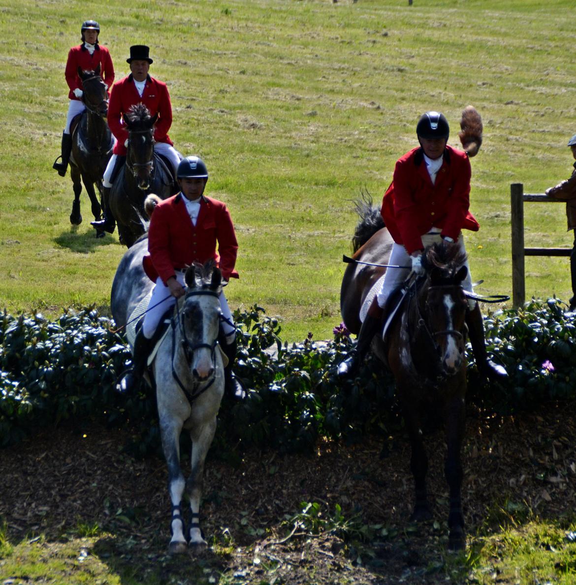 Jagt på Stald Friheden billede 69