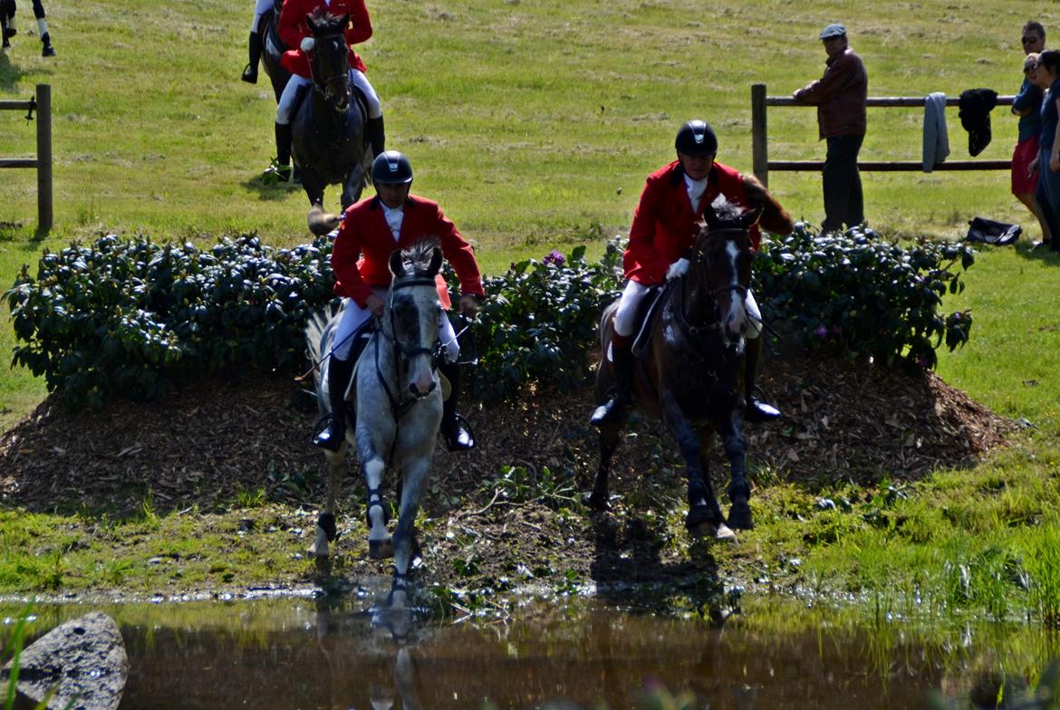 Jagt på Stald Friheden billede 70