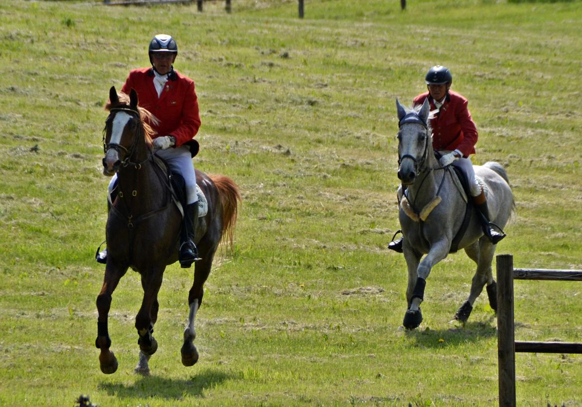 Jagt på Stald Friheden billede 53