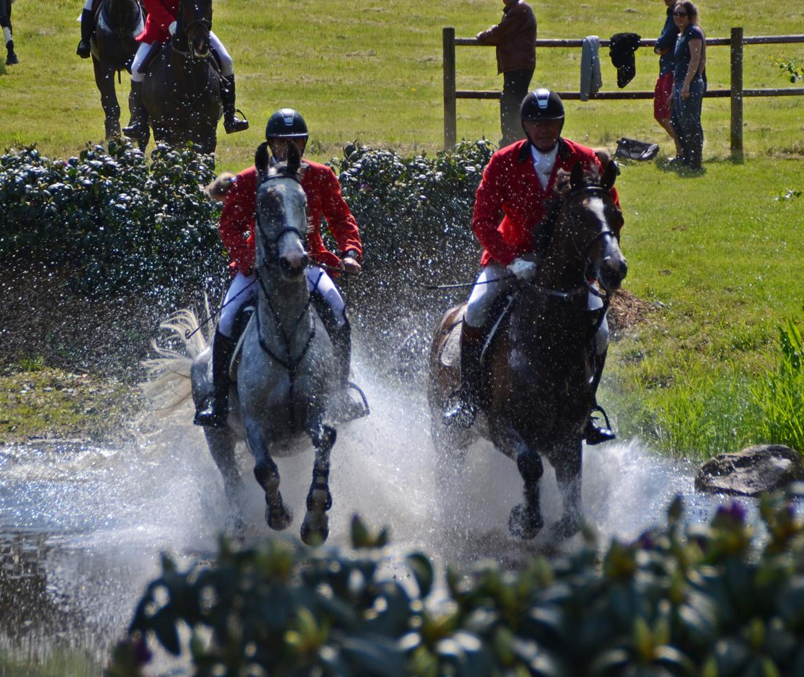 Jagt på Stald Friheden billede 71