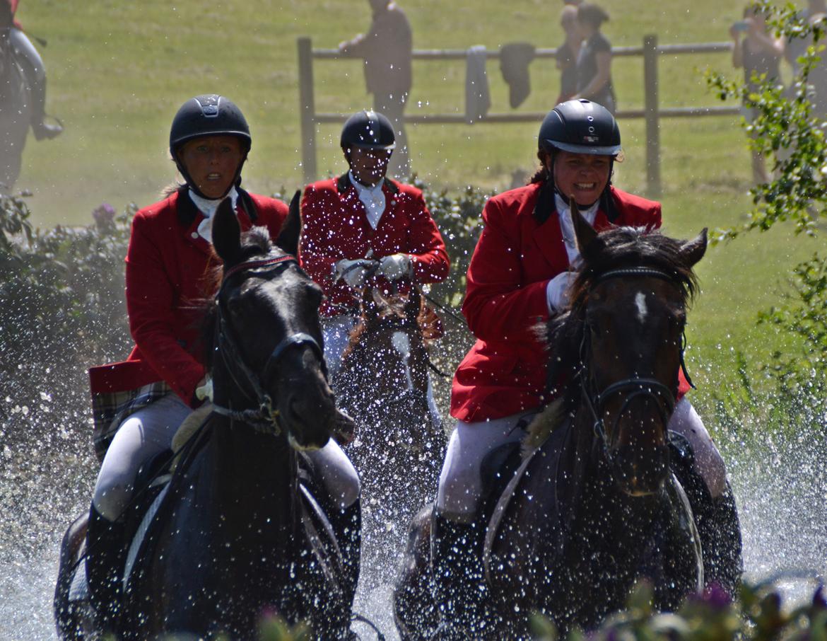 Jagt på Stald Friheden billede 74