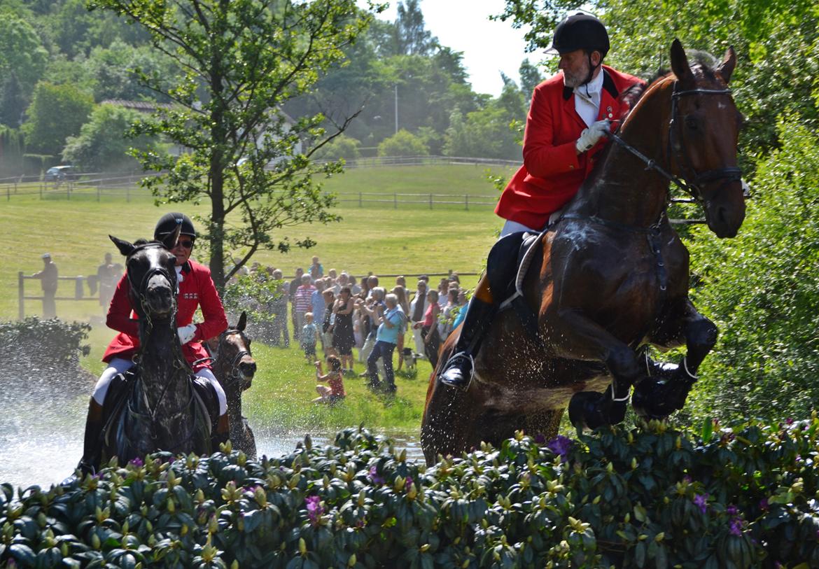 Jagt på Stald Friheden billede 75