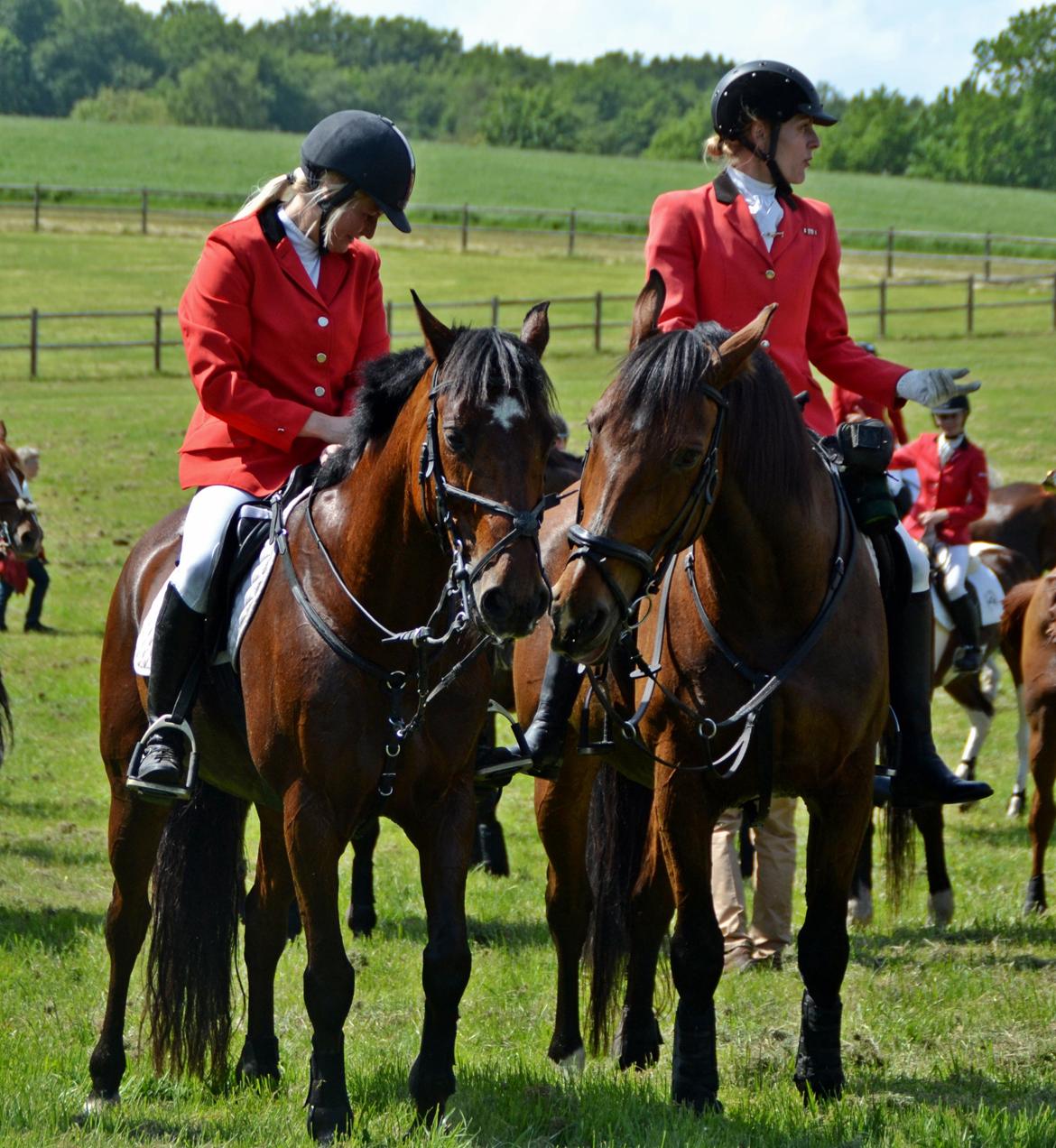 Jagt på Stald Friheden billede 76