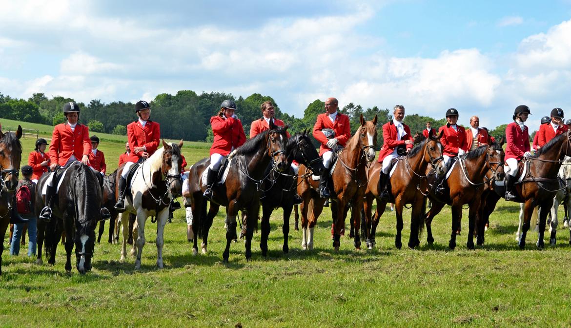 Jagt på Stald Friheden billede 77
