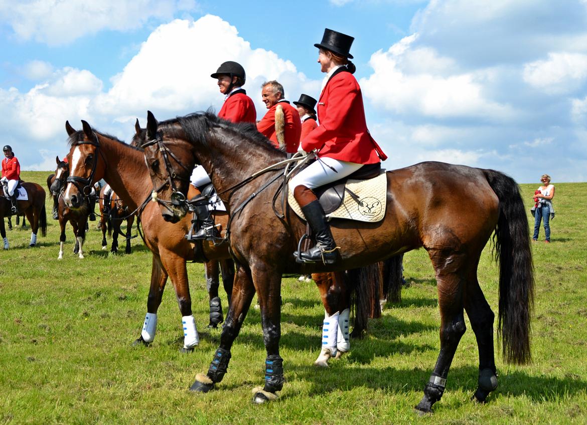 Jagt på Stald Friheden billede 78
