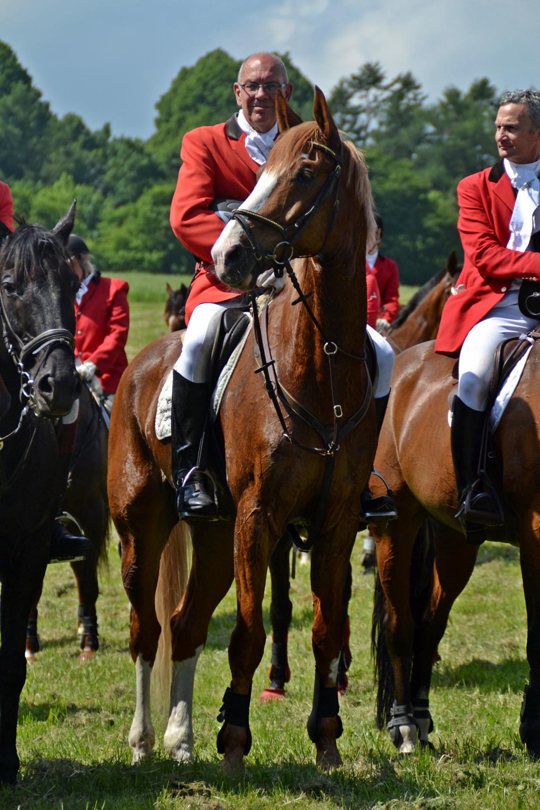 Jagt på Stald Friheden billede 79