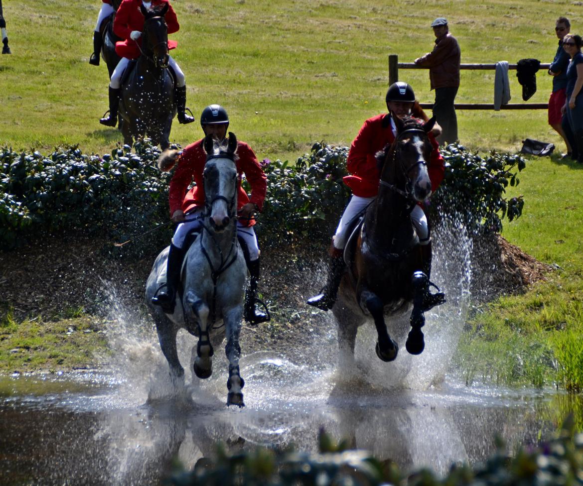 Jagt på Stald Friheden billede 72