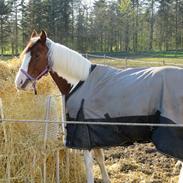 Fotoshoot med Malibu!;)