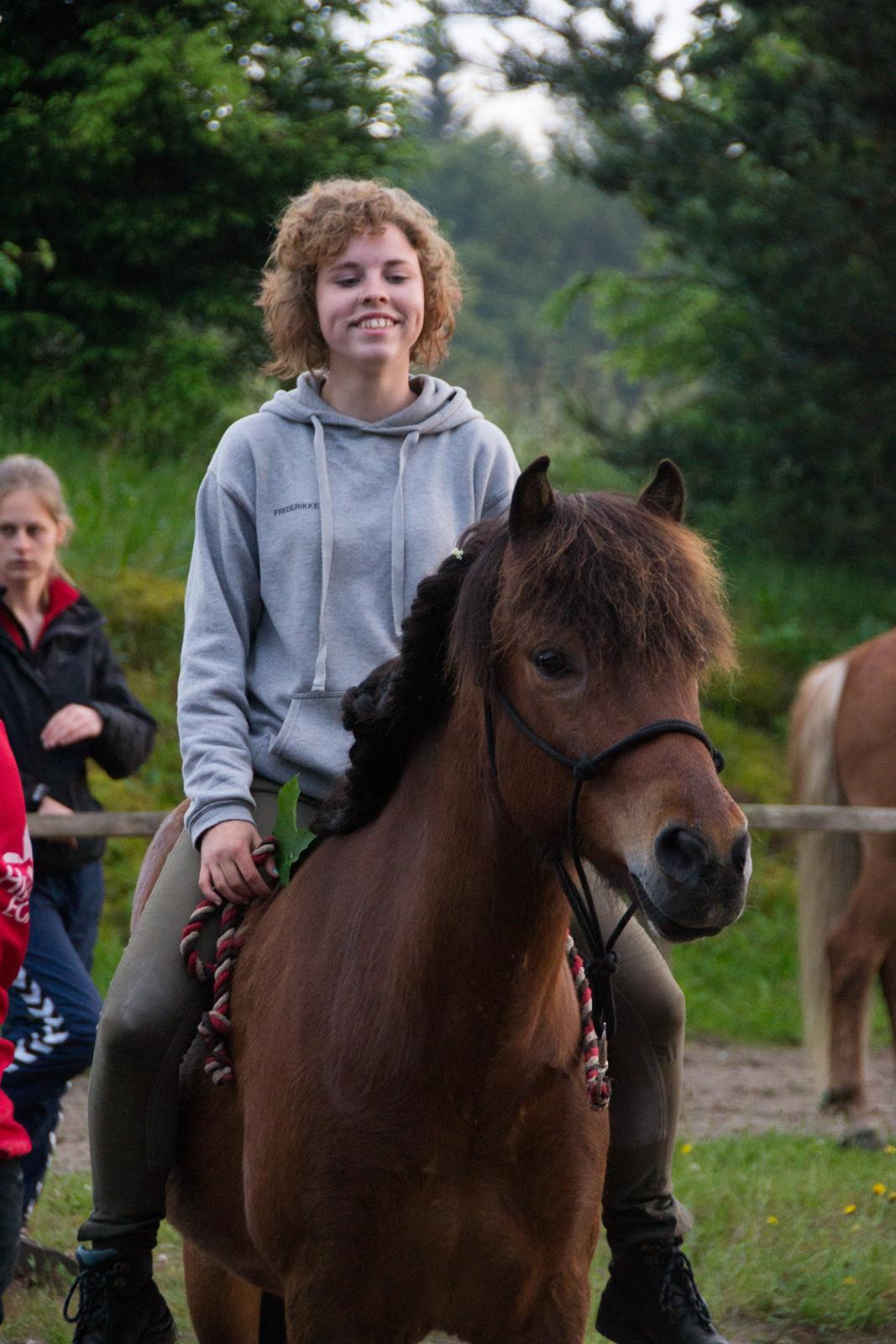 HNIE 13/14  billede 4