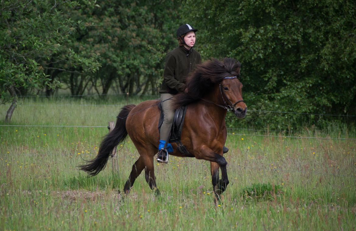 HNIE 13/14  billede 7