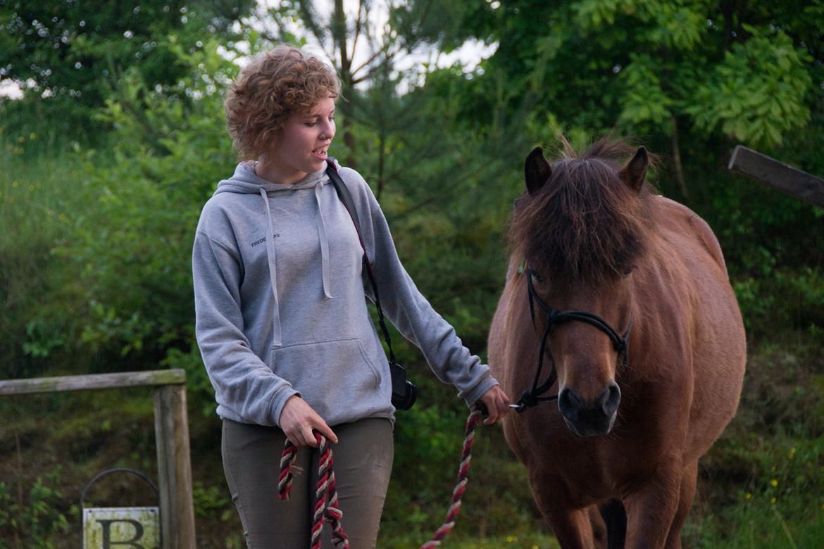 HNIE 13/14  billede 1