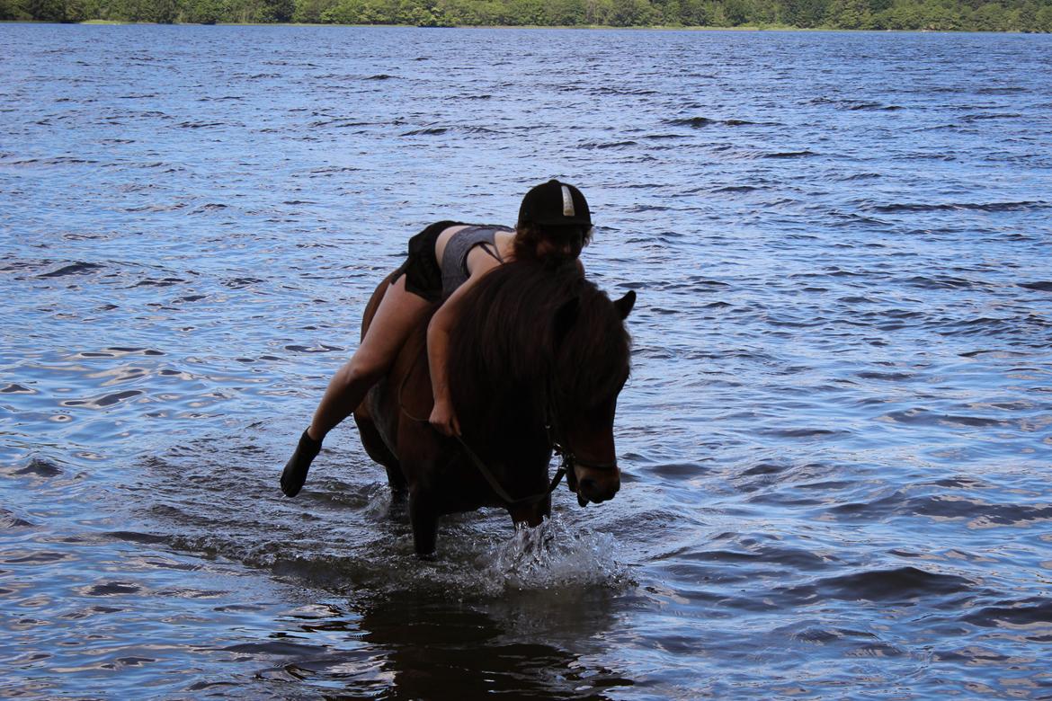 HNIE 13/14  billede 21