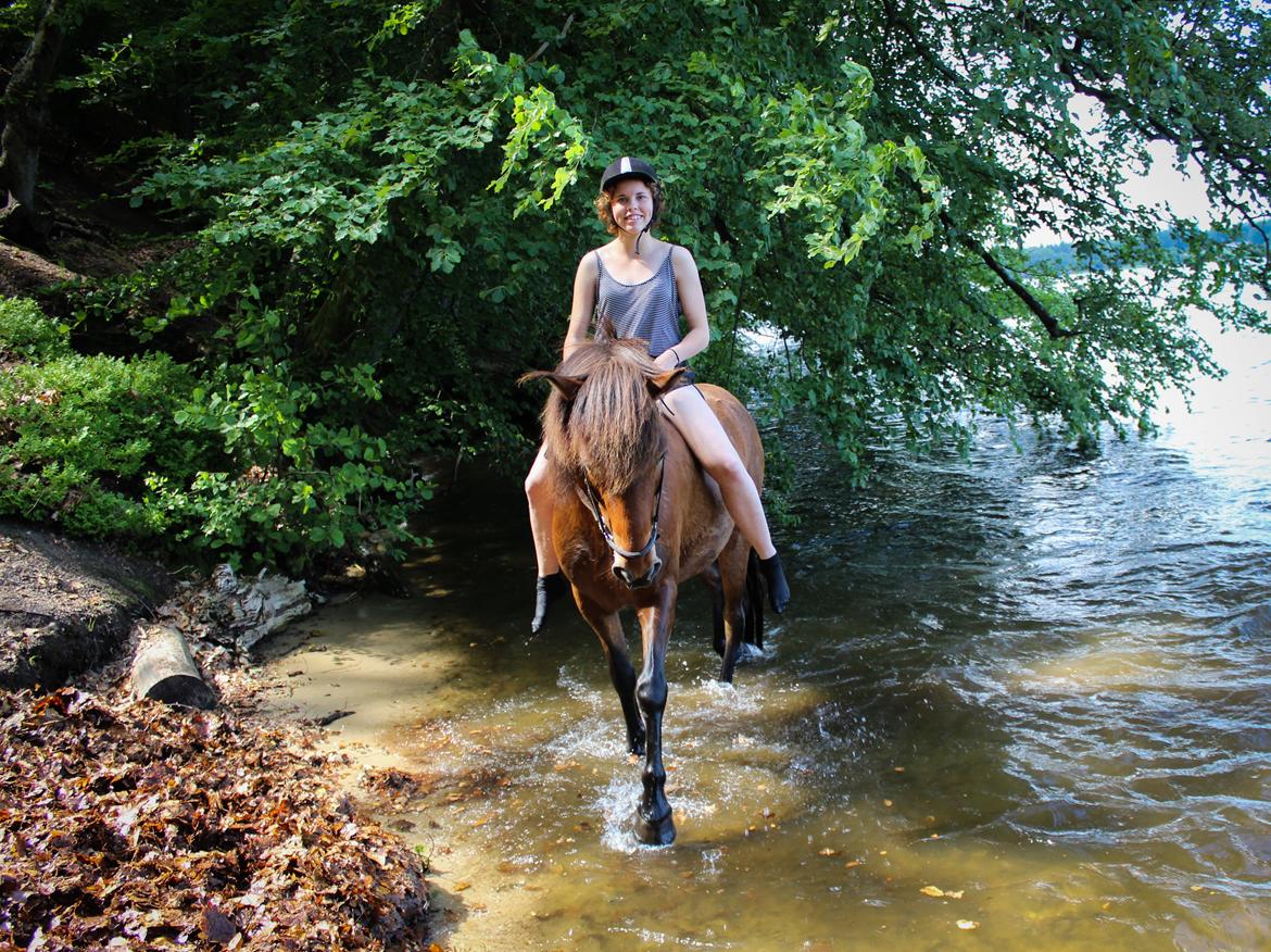 HNIE 13/14  billede 2