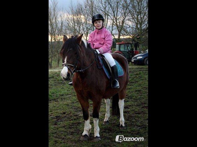 kongerslev rideskole billede 1