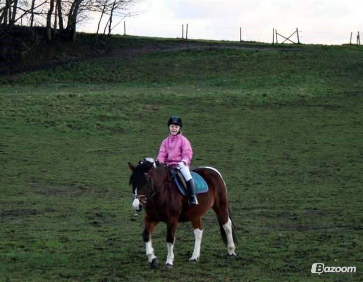 kongerslev rideskole billede 2