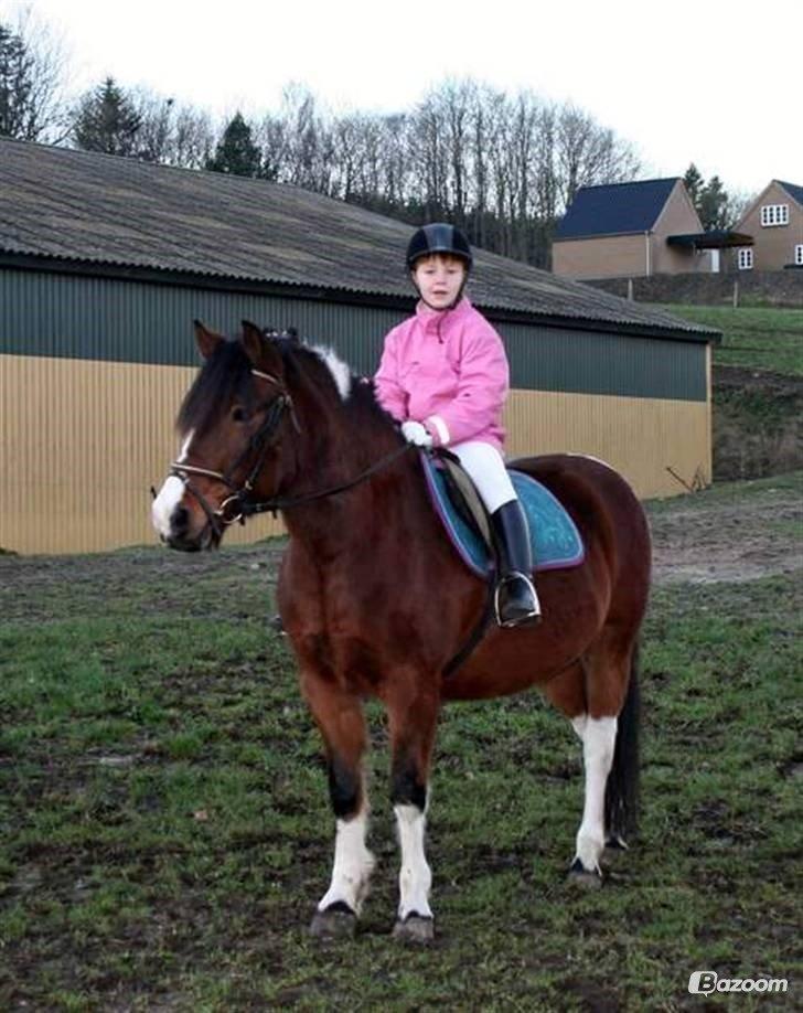 kongerslev rideskole billede 3