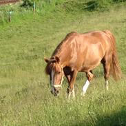 Jeg elsker min lille Boris! (Jonas)<3