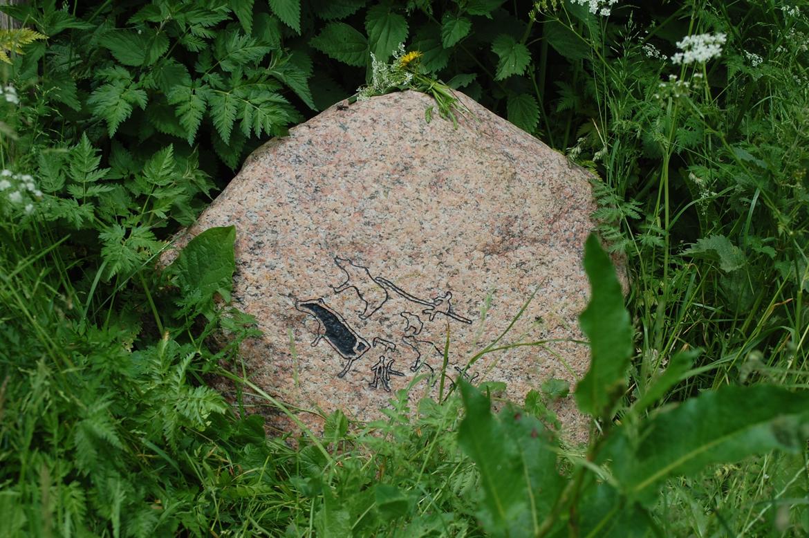 Sagnlandet Lejre - en sten til ære for min døde bedstefar, som har været viking der i rigtig mange år billede 4