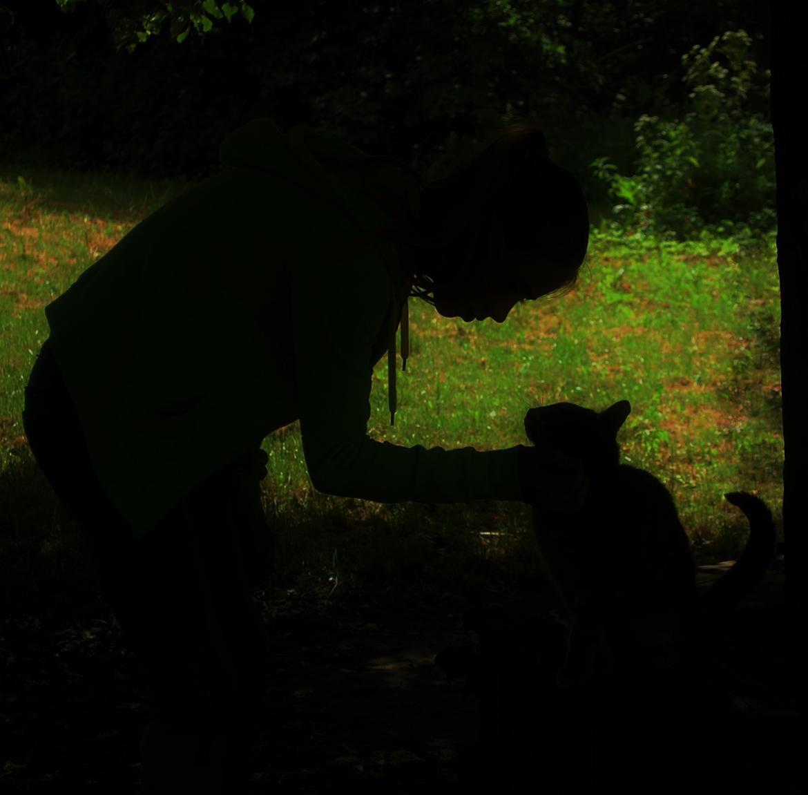 Sagnlandet Lejre - prøvede at lave en silhouette billede 2