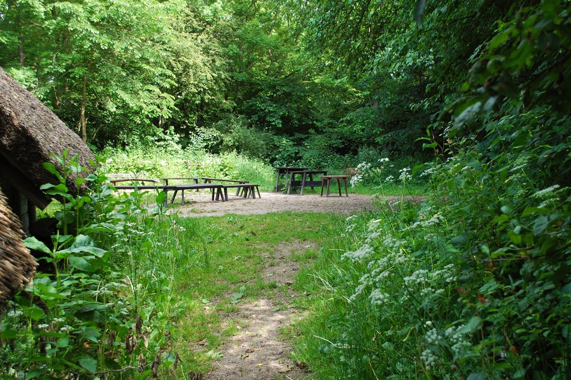 Sagnlandet Lejre billede 11