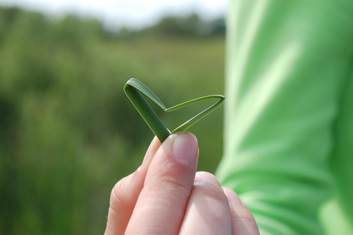 Sagnlandet Lejre billede 13