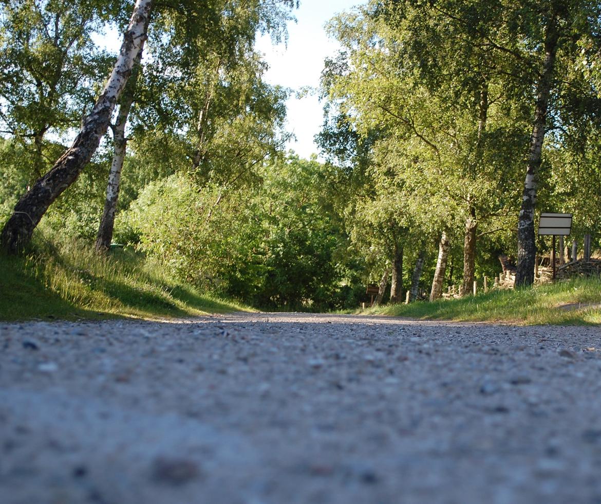 Sagnlandet Lejre billede 15