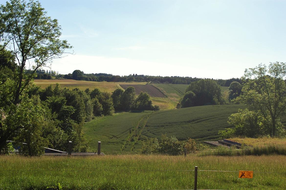 Sagnlandet Lejre billede 16