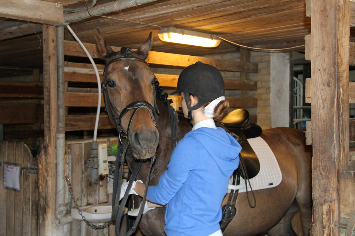 Stævne på HØS - Gøngehusfarmen billede 1