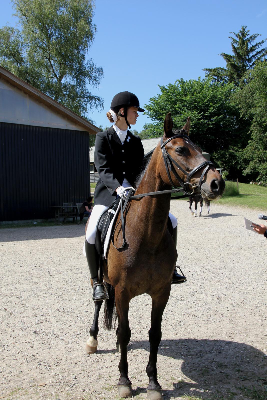 Stævne på HØS - Gøngehusfarmen billede 3
