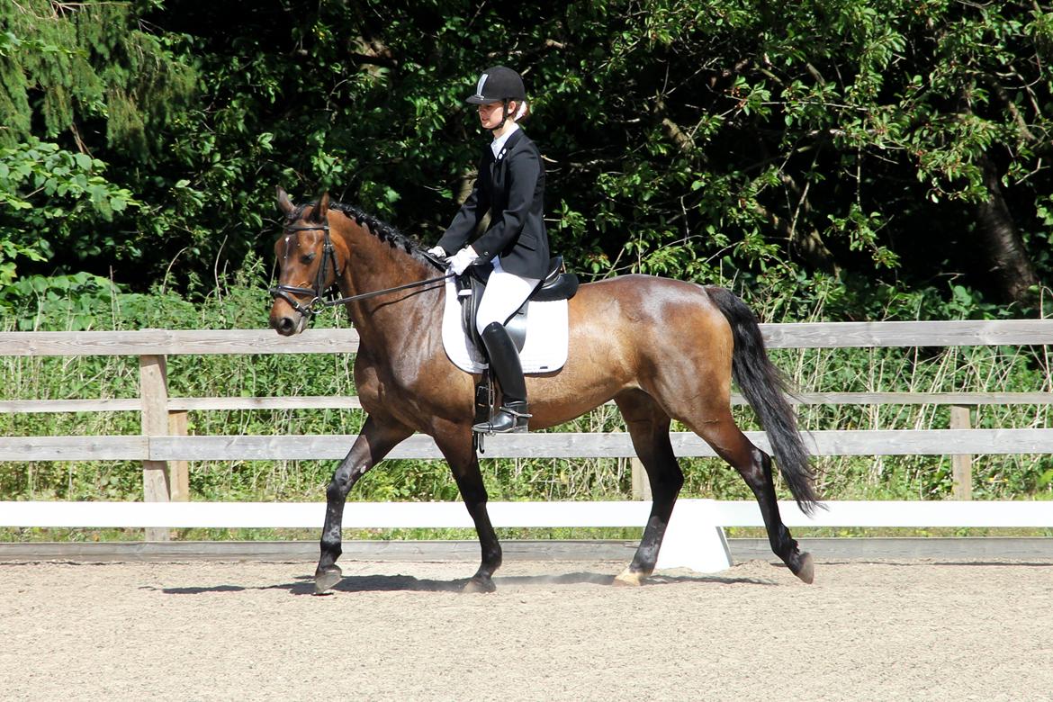 Stævne på HØS - Gøngehusfarmen billede 5