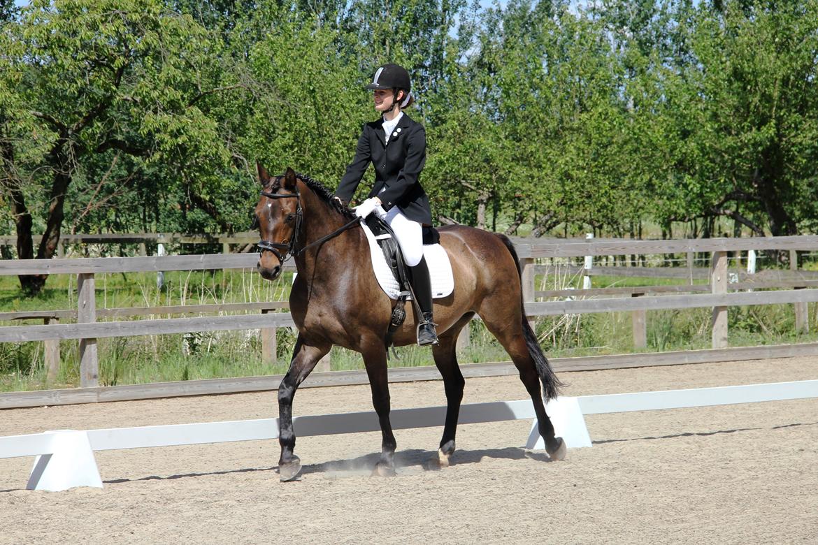 Stævne på HØS - Gøngehusfarmen billede 6