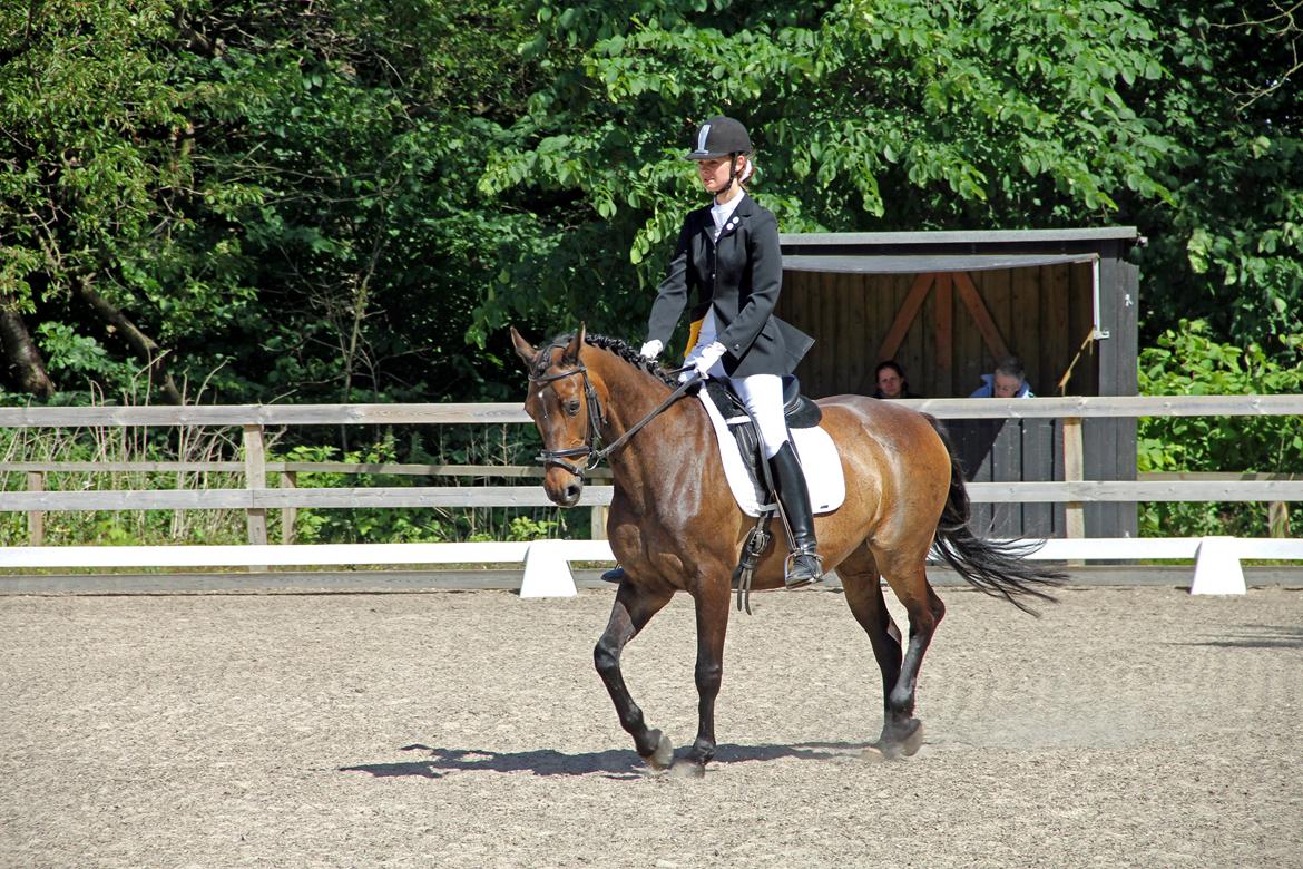 Stævne på HØS - Gøngehusfarmen billede 7