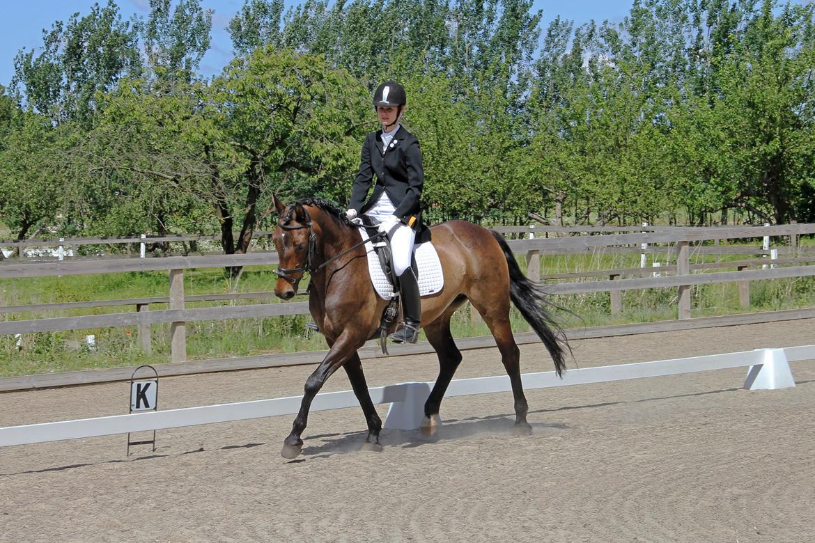 Stævne på HØS - Gøngehusfarmen billede 9