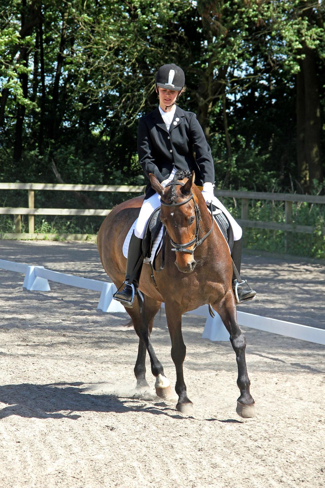 Stævne på HØS - Gøngehusfarmen billede 11
