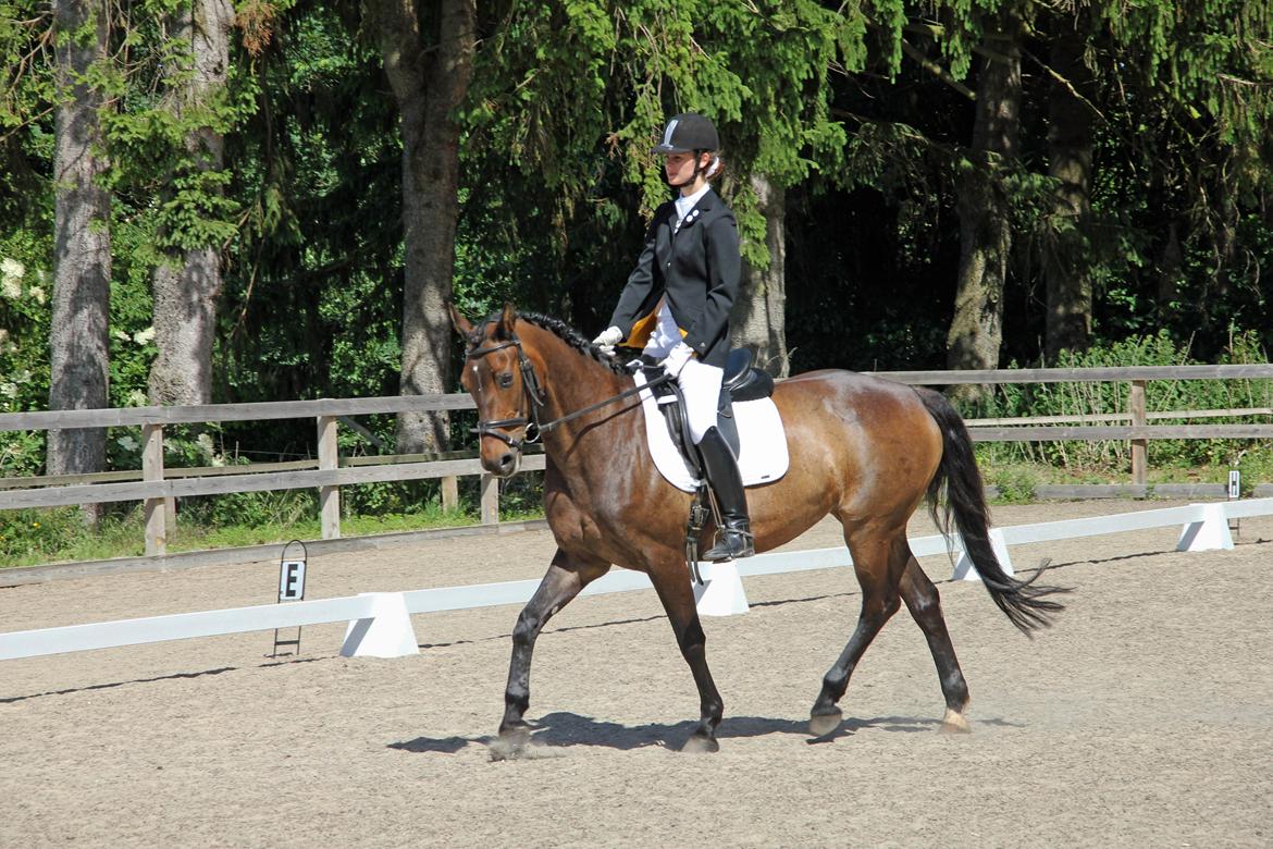 Stævne på HØS - Gøngehusfarmen billede 8