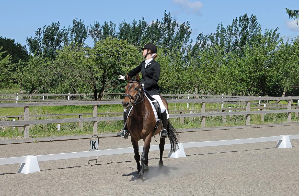 Stævne på HØS - Gøngehusfarmen billede 14