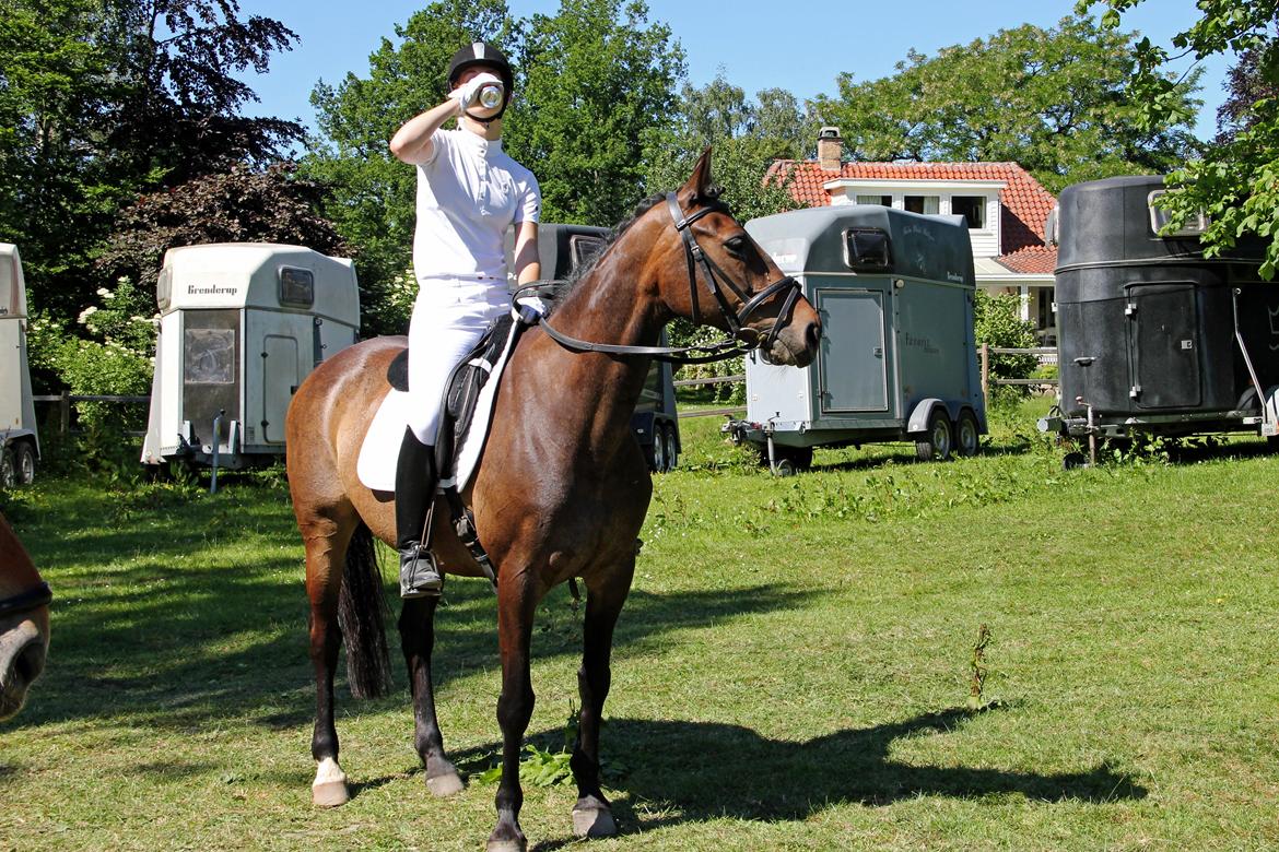 Stævne på HØS - Gøngehusfarmen billede 16
