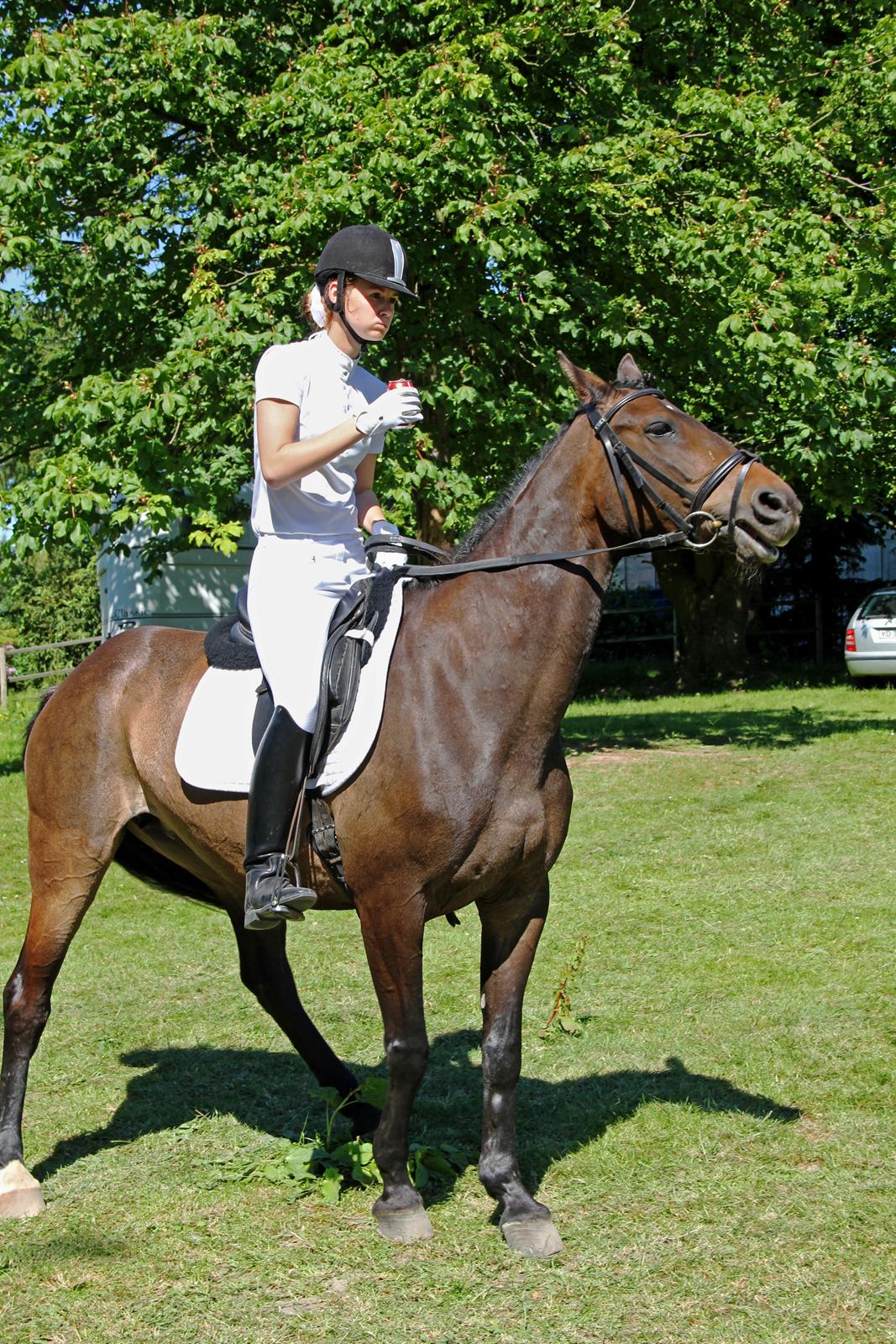 Stævne på HØS - Gøngehusfarmen billede 17