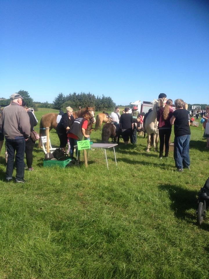 Kliplev Mærken 2014 billede 2