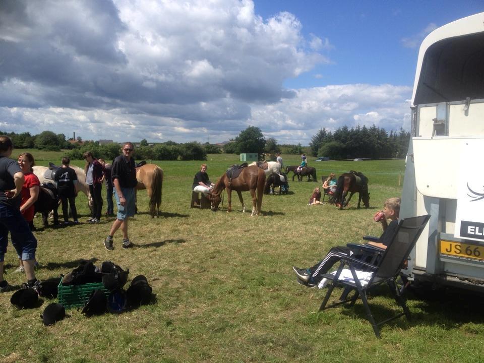 Kliplev Mærken 2014 billede 4