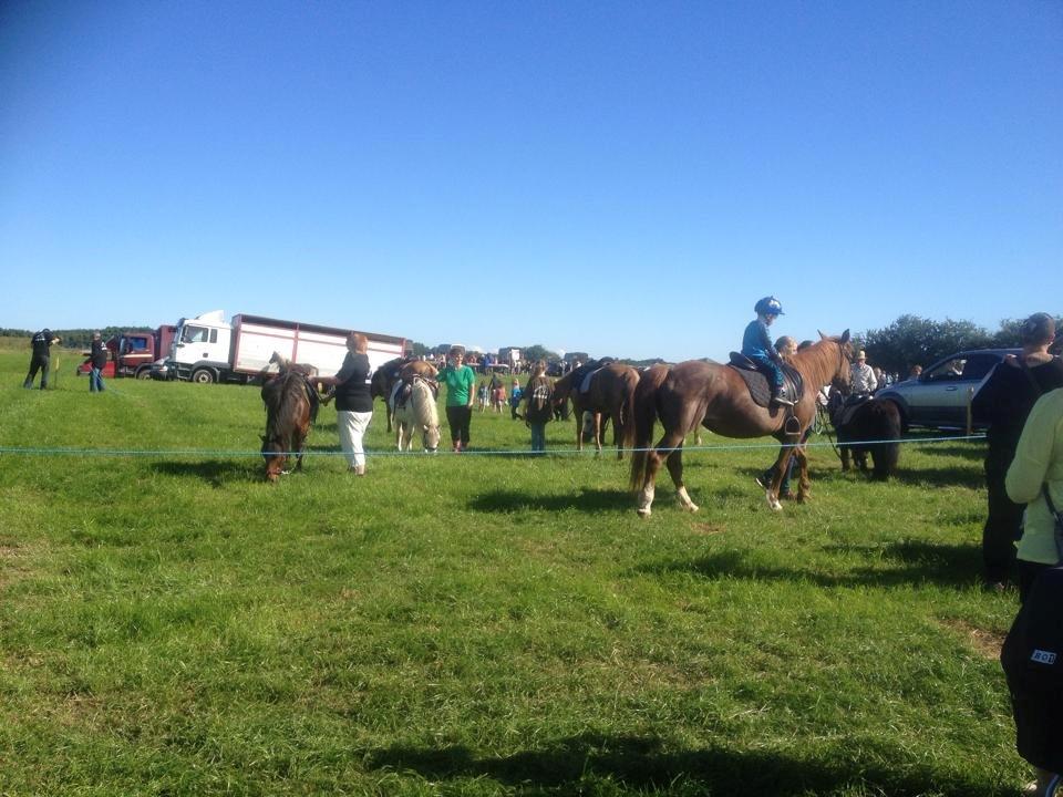 Kliplev Mærken 2014 billede 5