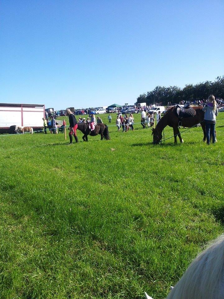 Kliplev Mærken 2014 billede 6