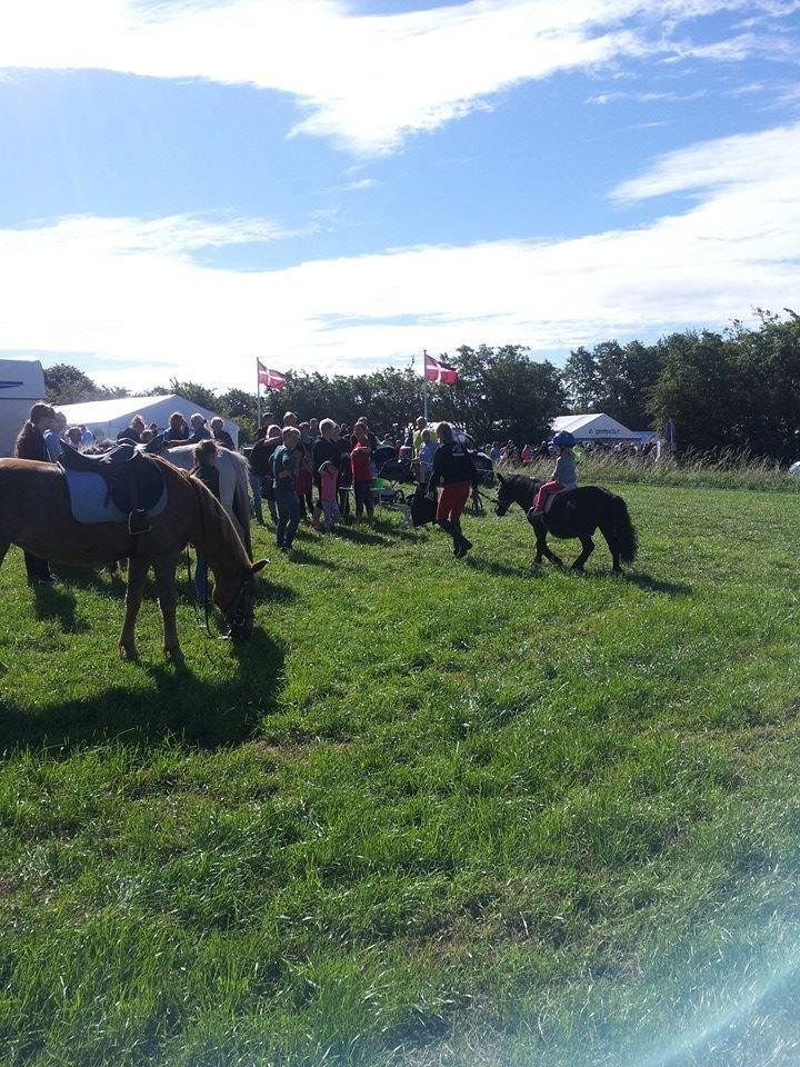 Kliplev Mærken 2014 billede 1