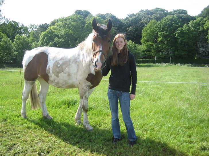 Halstedhus efterskole - Toffie og mig billede 4